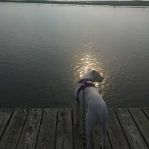 Meet your Posher, Melanie